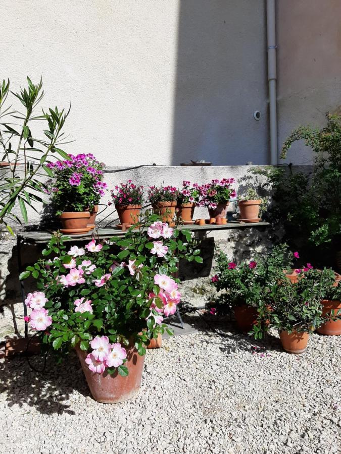 Maison D'Hotes Ventoureso Malemort-du-Comtat Luaran gambar